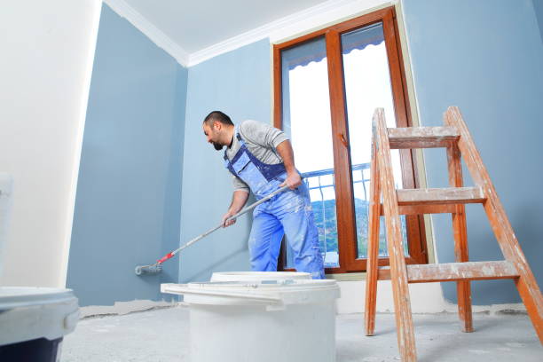 Best Mold Odor Removal Services  in Poipu, HI