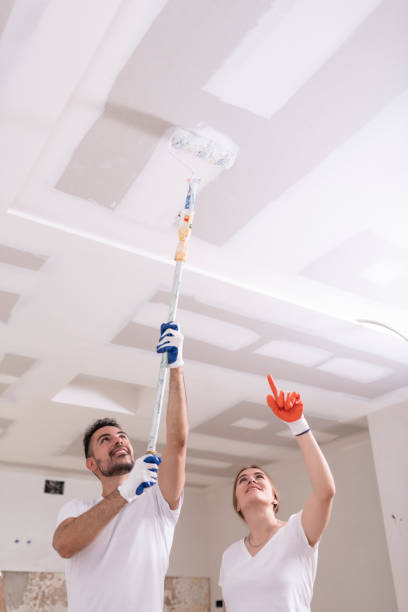 Professional Mold Removal in Poipu, HI