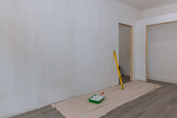 Best Mold Damage Restoration  in Poipu, HI