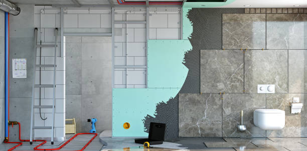 Best Post-Construction Mold Inspection  in Poipu, HI