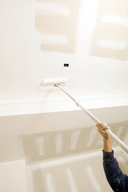 Best HVAC Mold Inspection and Cleaning  in Poipu, HI