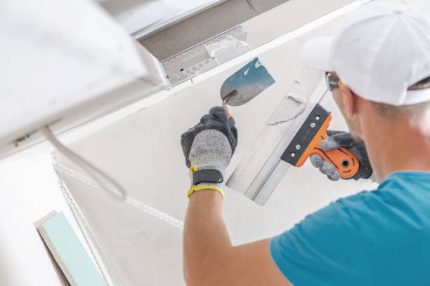 Best Attic Mold Removal  in Poipu, HI